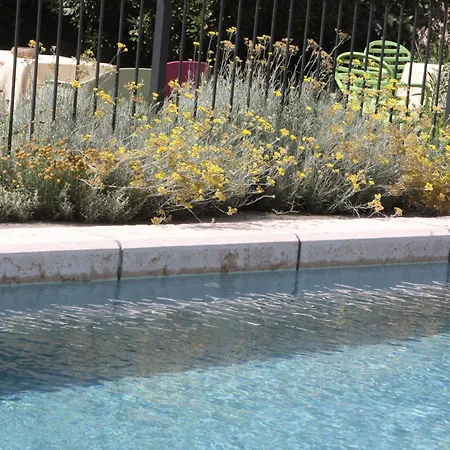 La Lepre Bianca * Cento