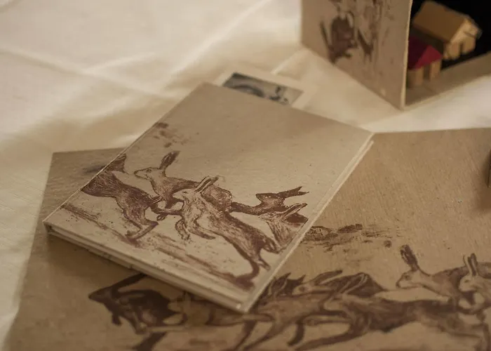 勒普莱比安卡旅馆 农家乐 *