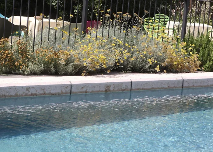 La Lepre Bianca * Cento (Emilia-Romagna)